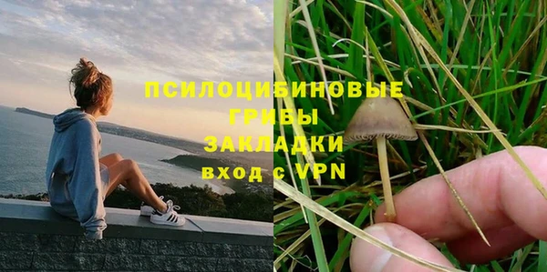 кристаллы Няндома
