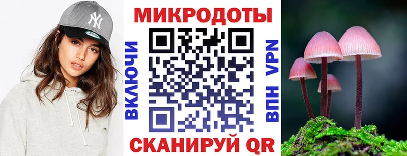 Псилоцибиновые грибы Psilocybine cubensis  Железногорск 