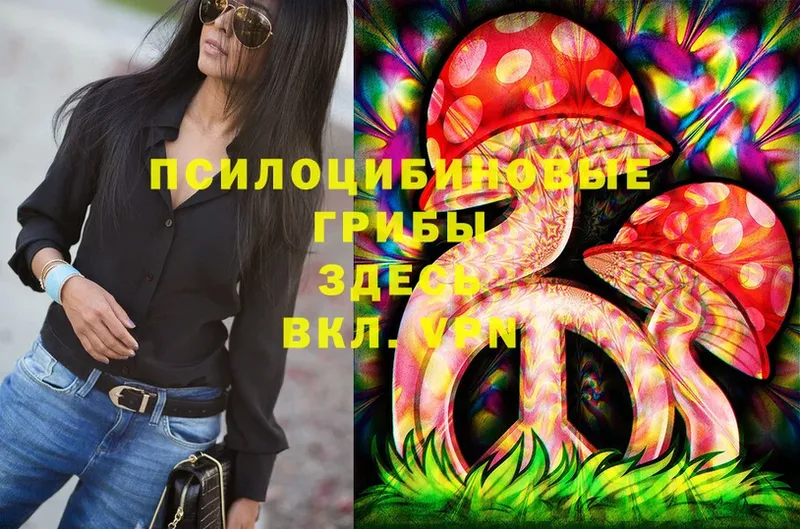 Галлюциногенные грибы Psilocybe  нарко площадка телеграм  Железногорск 