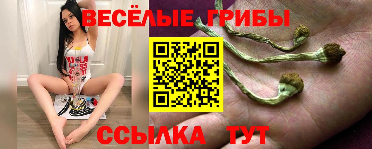 Псилоцибиновые грибы Psilocybe Железногорск