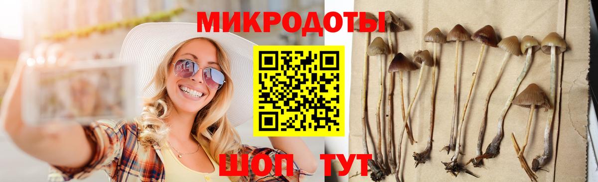 Галлюциногенные грибы Cubensis  Псилоцибиновые грибы ЛСД  Железногорск  Вход с VPN 
