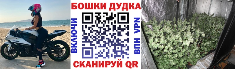Канабис планчик  магазин продажи   Железногорск 